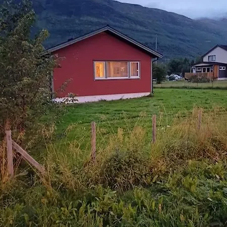 Kosebua * Narvik